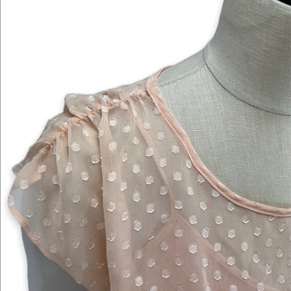 Black‎ Rainn Sheer Swiss Dot 2pc Peach Blouse Top Small S - Picture 3 of 5